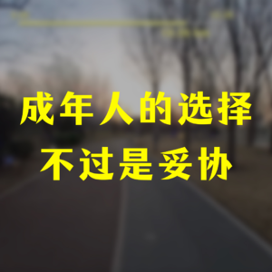 成年人的选择，大多不过是妥协的结果｜聊聊我的训练和热点事件