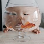 糖葫芦橙_