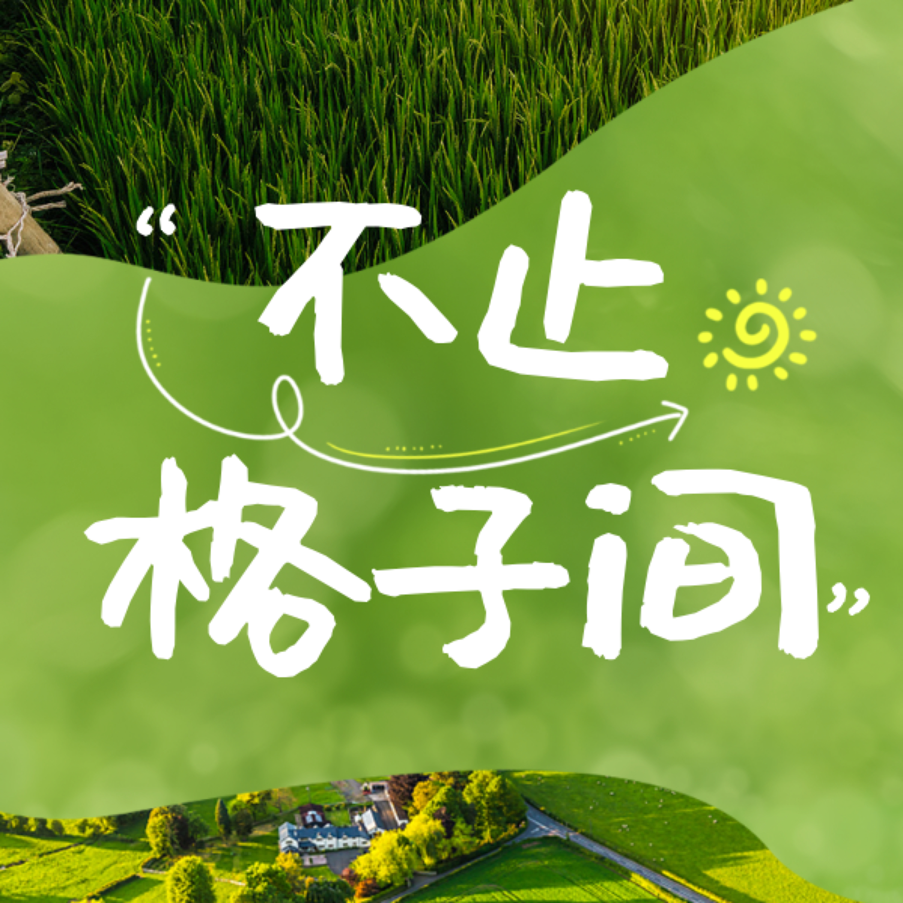 不止格子间 podcast artwork