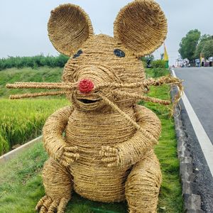 0924 尝试靠认识新人（大象🐘），来转移旧关系里的失落？ /73.2%