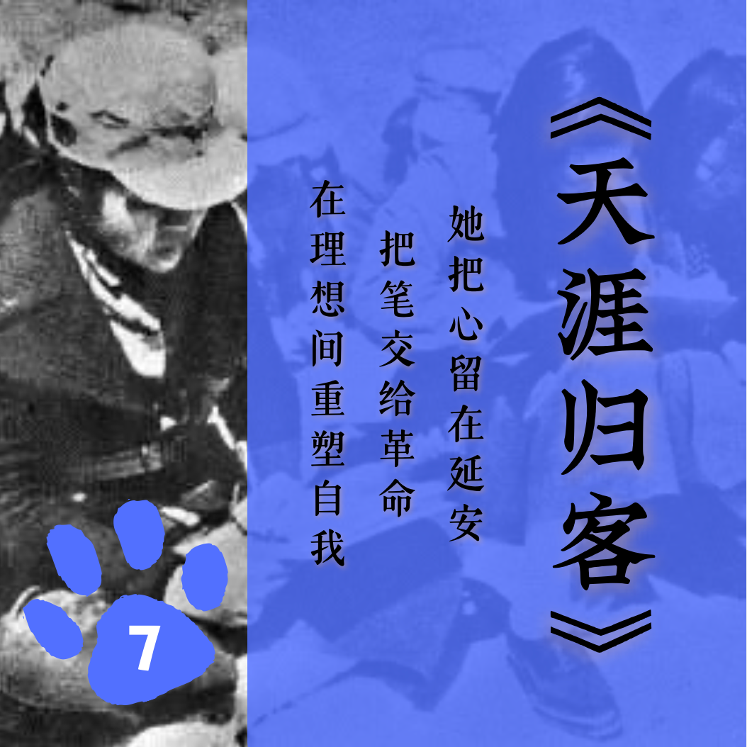 「十二」《天涯归客》：她把心留在延安，把笔交给革命，在理想间重塑自我 episode artwork