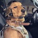 近战法师张乱来