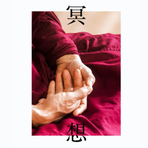 Vol.12 日常冥想入门指南