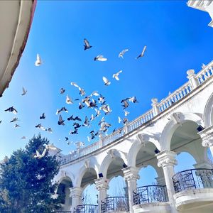 4.局部血液循环障碍