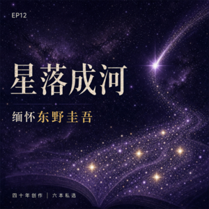 12. 星落成河：缅怀东野圭吾