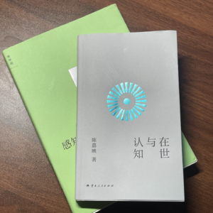 13 我们若不再感知世界,世界就失去了意义