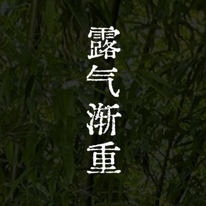 podcast-avatar