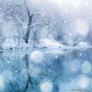 卿尘涧雪