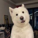 哈哈哈还好还好_o5fY