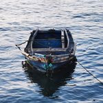 我阅我在