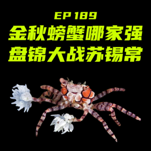 EP189 金秋螃蟹哪家强，盘锦大战苏锡常