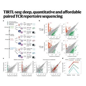 316-TIRTL-seq: Deep Paired TCR Repertoire Sequencing