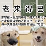 听见更大的世界尔