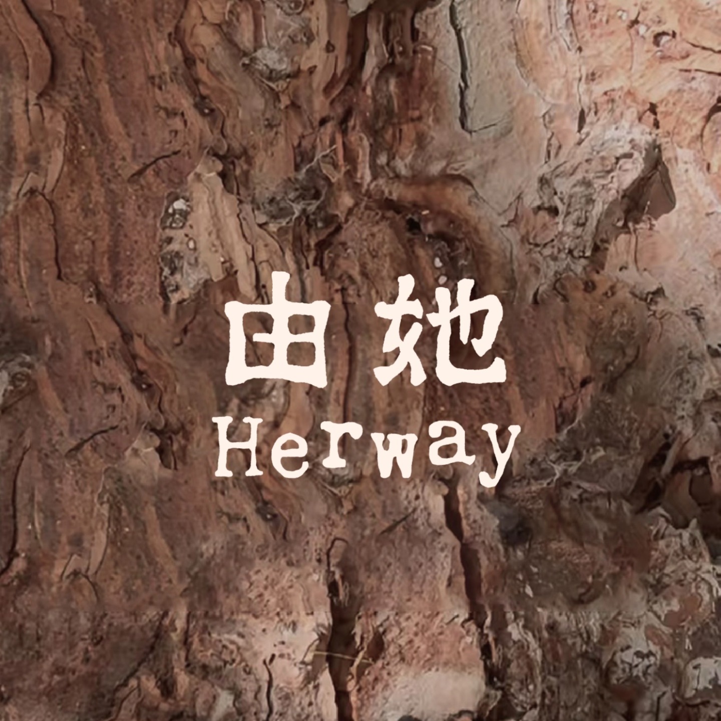 「由她」说