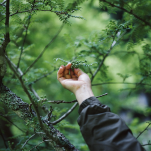 EP17「愚人之爱」户外新手的北京爬山指北