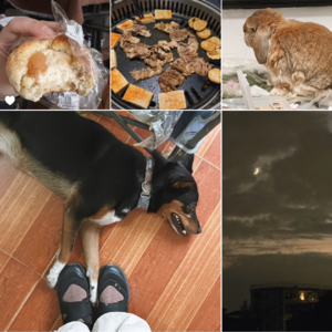 24.10.6 吃饭 AA 是学生思维的习惯吗