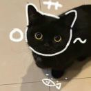 一尾星