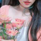 Auv_SlyY
