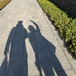 此中有真意欲辨已忘言