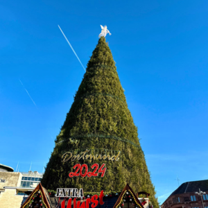 圣诞特辑 🎄 圣诞树的一生