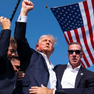 vol.10 特朗普的语言艺术：野鸡比较英美，“懂王”如何俘获选民的心？