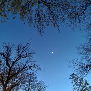 podcaster-avatar
