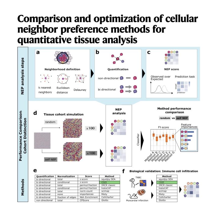 1158-Optimizing Cellular Neighbor Preference Analysis episode artwork