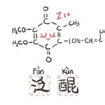 希波克拉有底