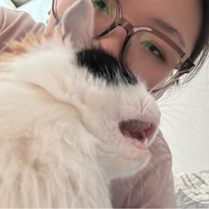 不够善良的静蕾
