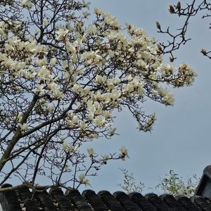 podcaster-avatar