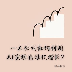 338-Anthropic创始人手册：一人公司如何利用AI实现自动化增长？