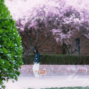 给自己放个假，做一个被春天宠坏的人