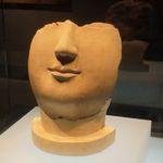 莱斯一只沫儿