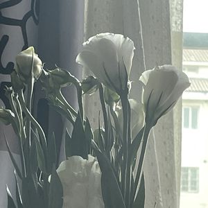 podcaster-avatar