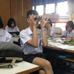 孤独的象龟