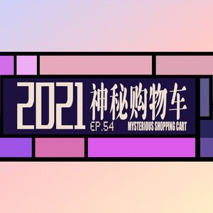 vol.54 双十一的神秘购物车
