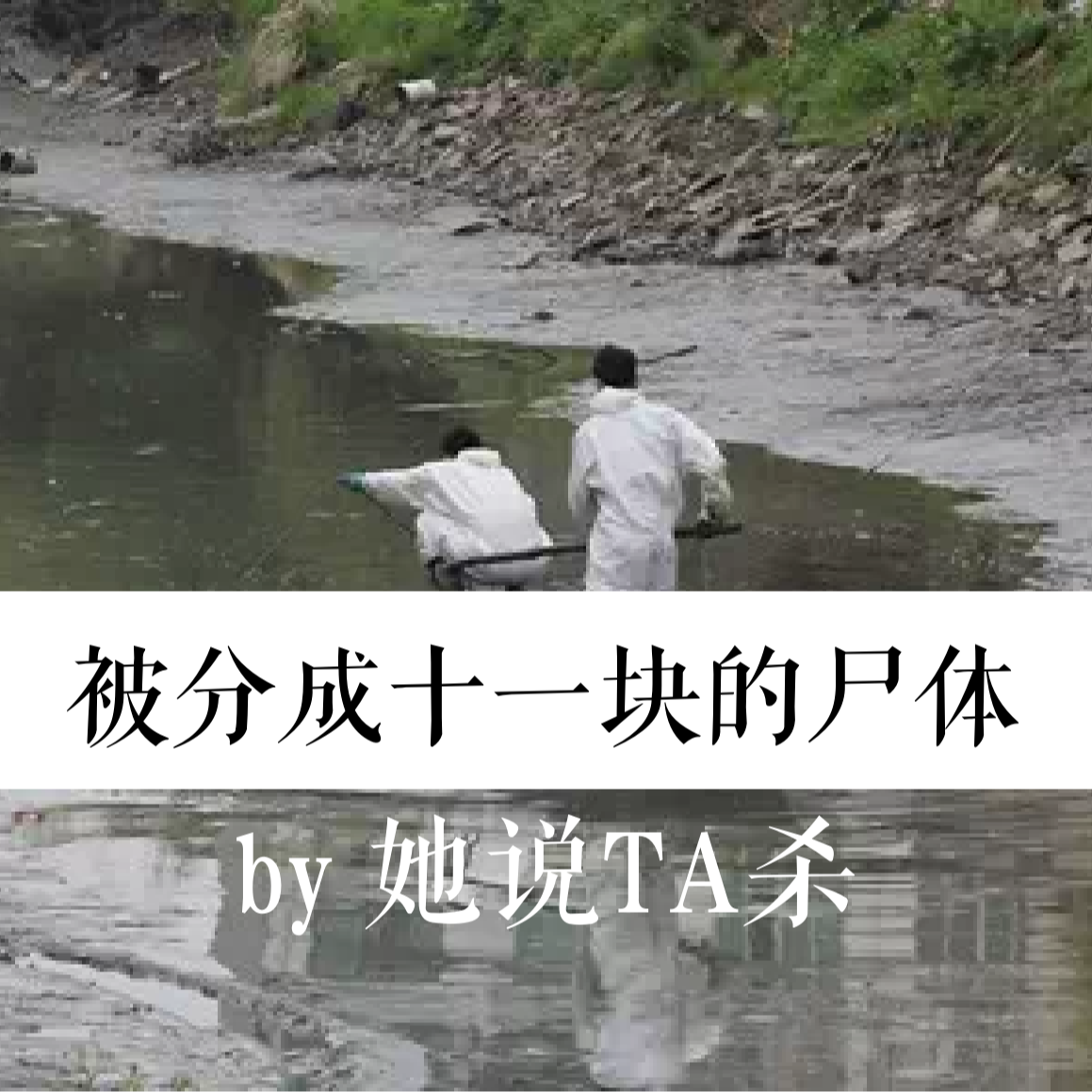 6. 都是脸盆惹的祸：被分成十一块的尸体 episode artwork