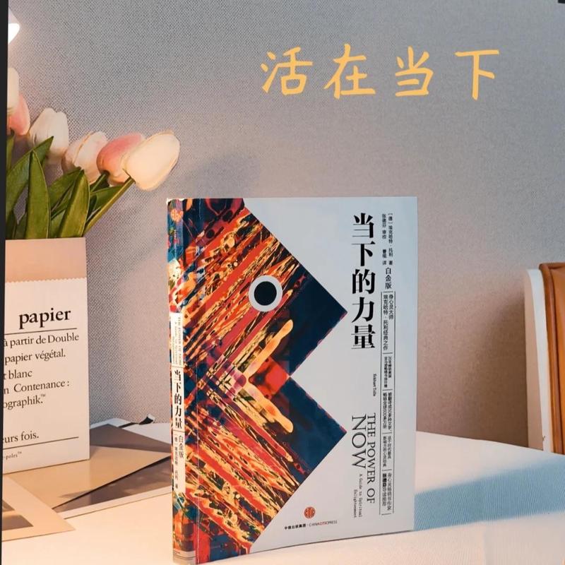 《当下的力量》第六课