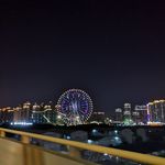 阳光灿烂马