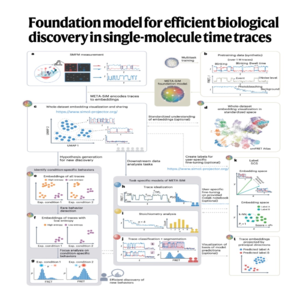 214-META-SiM: Foundation Model for Single-Molecule Discovery