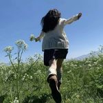 柠檬塔塔