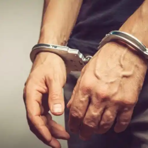 国内公共安全发展与犯罪成本分析