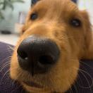 抱抱今天饱了吗