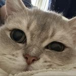 拿铁儿