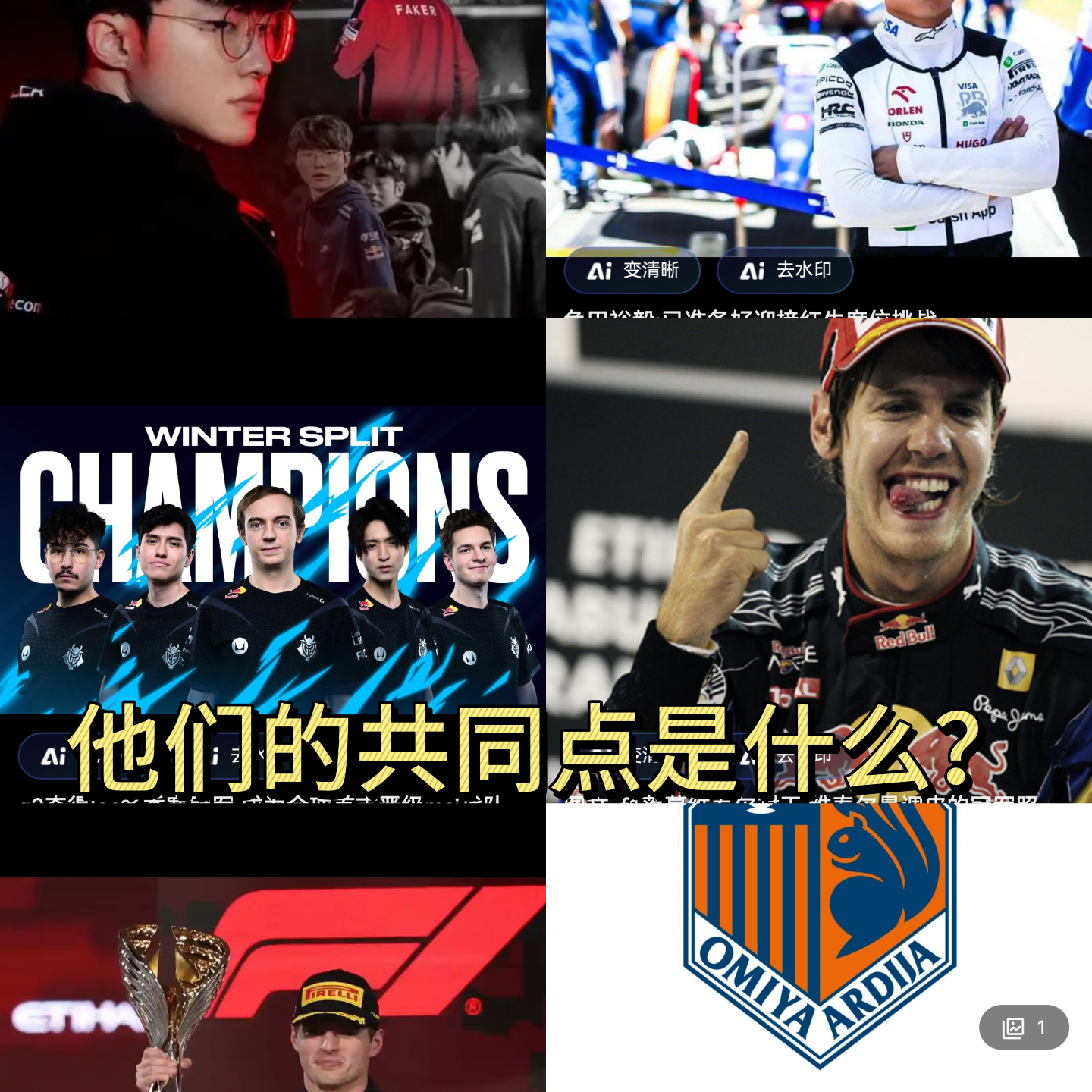 杨乐多第121期：一只体育巨鳄，和某国四年一度狂欢（内有彩蛋） episode artwork