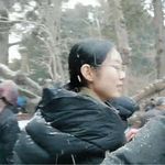 你就自由地飞吧