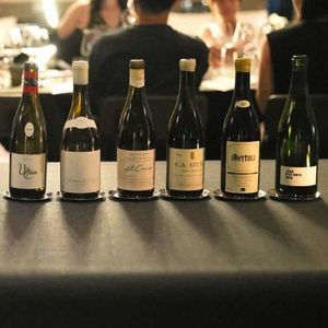 10/ 为什么西班牙能产出全欧酸度醉高的白葡萄酒?
