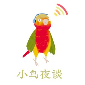 小鸟夜谈