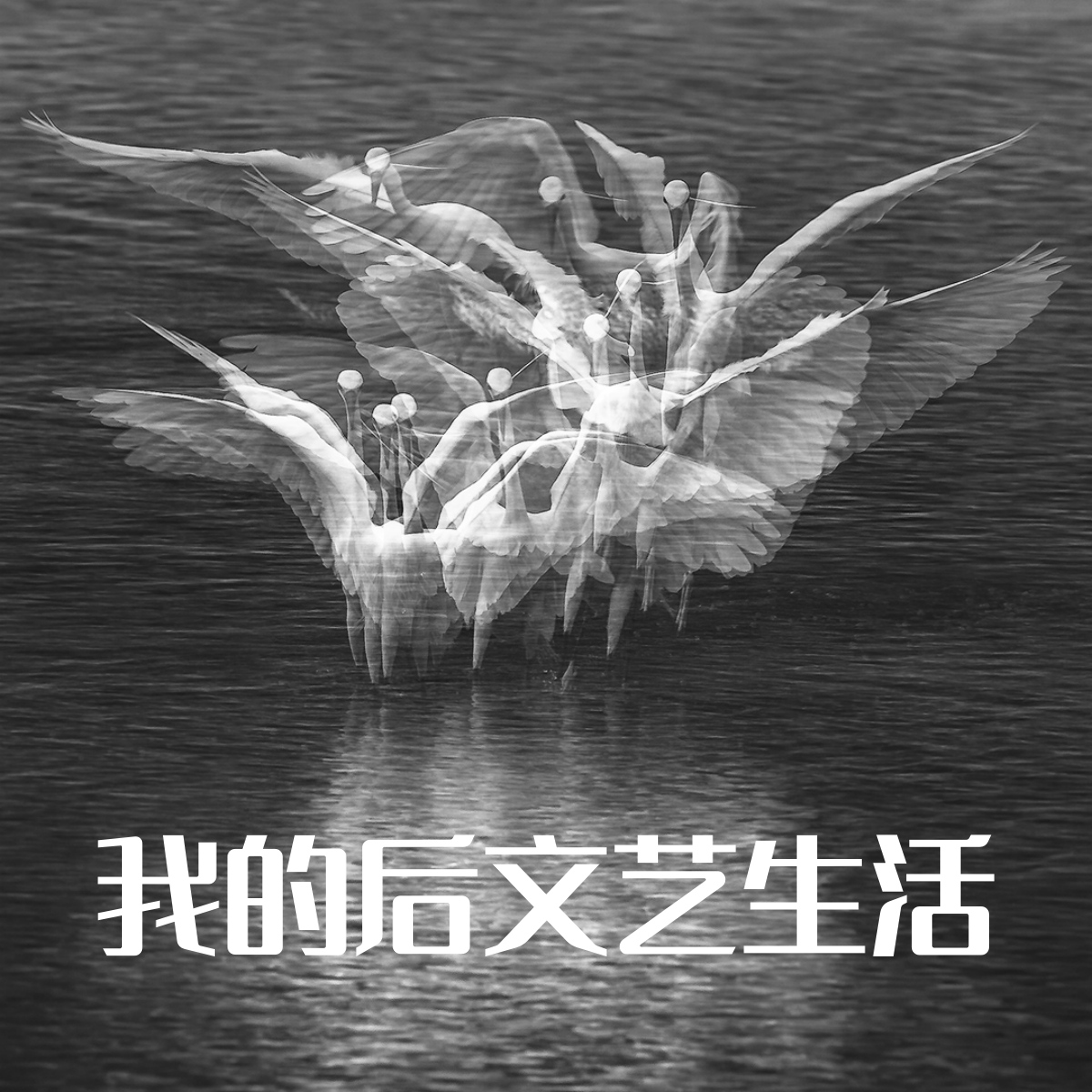 009一个人有几重人格 episode artwork