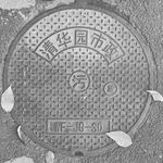 陀思妥耶夫斯基门下走狗